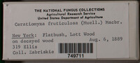 Image Associated With the Occurence
